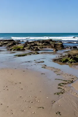 Quiet Tropical Shoreline at Low Tide