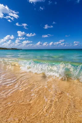 Peaceful Tropical Shoreline with Gentle Summer Waves