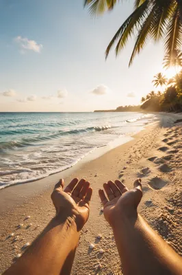 Peaceful Tropical Shoreline Morning Gratitude