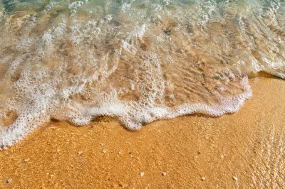 Tropical Wave Over Golden Summer Sand