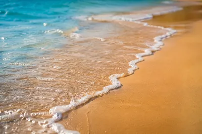 Tropical Shoreline Waves on Golden Sand