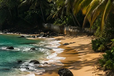 Secluded Tropical Cove with Waves and Sand