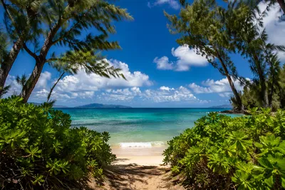 Tropical Beach Waves Under Summer Sky