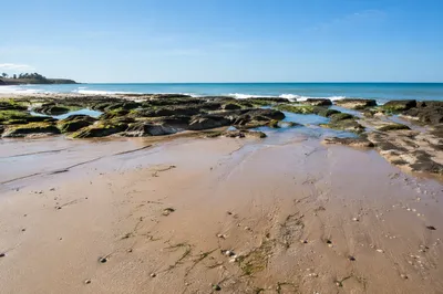 Quiet Tropical Shoreline at Low Tide