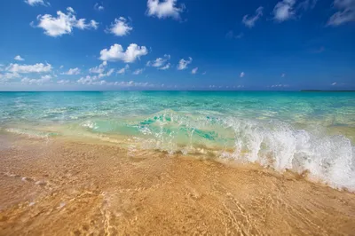 Peaceful Tropical Shoreline with Gentle Summer Waves