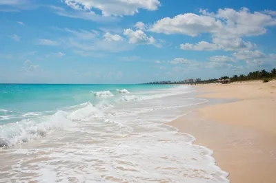 Peaceful Tropical Shoreline With Summer Waves