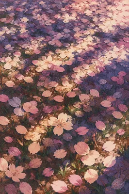 Cherry Blossom Petals on Spring Meadow