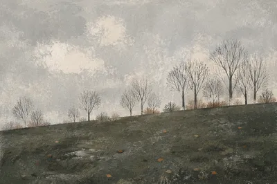 Quiet Green Field Under Gray Sky