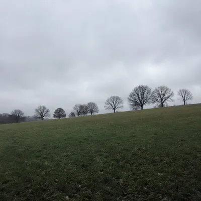 Quiet Green Countryside Under Overcast Sky