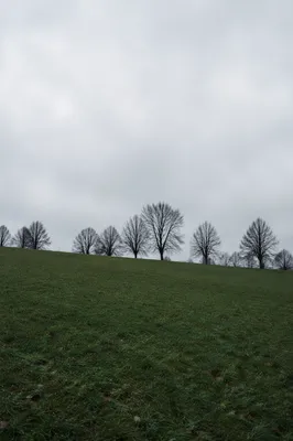 Quiet Green Field Under Overcast Sky