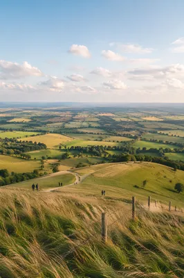 Peaceful Green Hillside Over Open Countryside