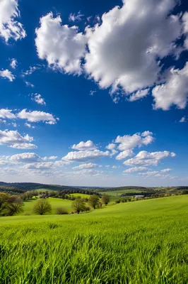 Open Green Meadow Under Dramatic Blue Sky