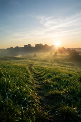 Sunlit Green Field With Curving Path