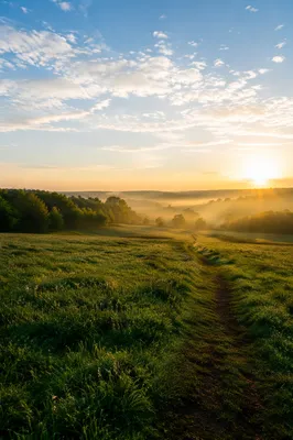 Morning Dew Over Open Green Field