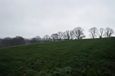 Quiet Green Field Under Overcast Sky