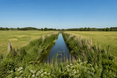 Open Green Countryside Field Under Blue Sky