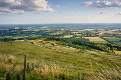 Peaceful Green Hillside Countryside Landscape