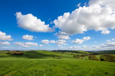 Open Green Meadow Under Dramatic Blue Sky