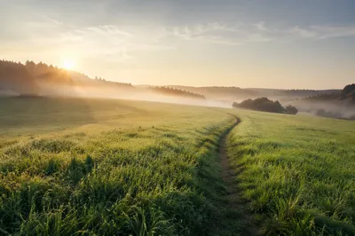Sunrise Footpath Through Lush Green Field