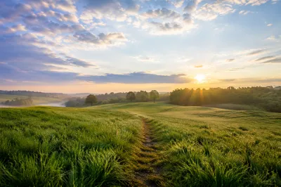 Morning Grass Field with Peaceful Footpath