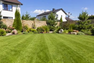 Sunny Suburban Backyard Garden With Green Lawn
