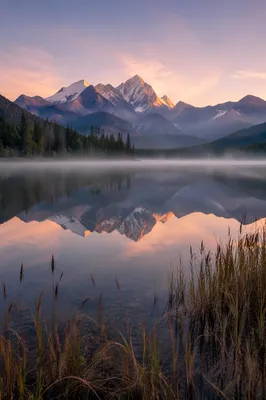 Calm Alpine Lake Reflection at Dawn