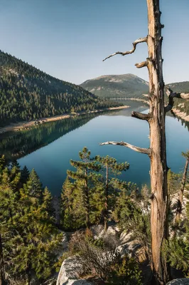 Calm Morning Mountain Lake Reflection