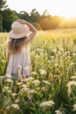 Child in Sunny Summer Wildflower Meadow