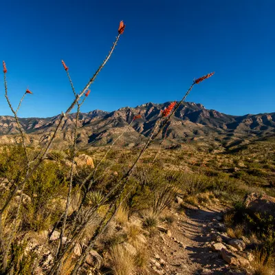 Desert Mountain Hiking Trail Landscape