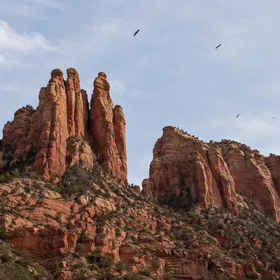 Red Sandstone Canyon Cliffs at Morning