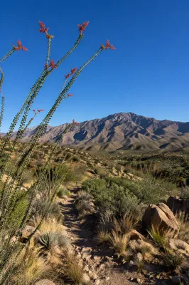Arid Mountain Hiking Trail at Sunset