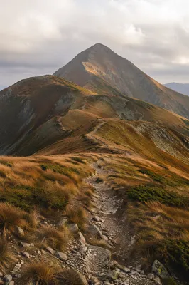 Scenic Mountain Trail to Distant Peak