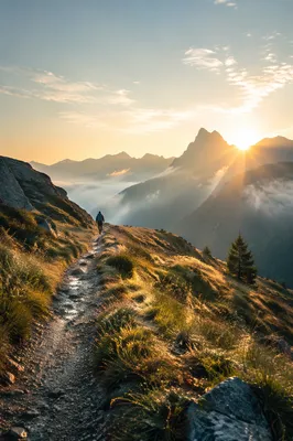 Sunrise Alpine Trail Toward Mountain Peaks