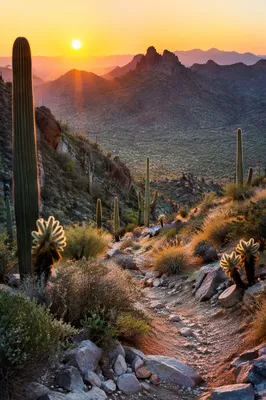 Sunrise Desert Mountain Hiking Overlook