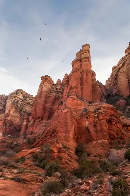 Red Sandstone Canyon Cliffs Under Morning Sky