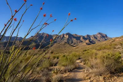 Desert Mountain Hiking Trail at Golden Hour