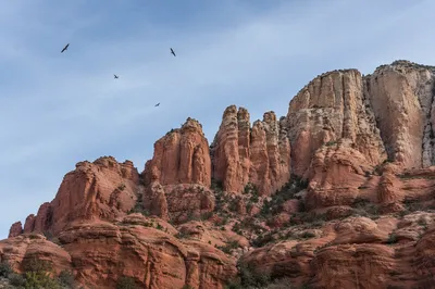 Red Sandstone Canyon Cliffs Under Morning Sky