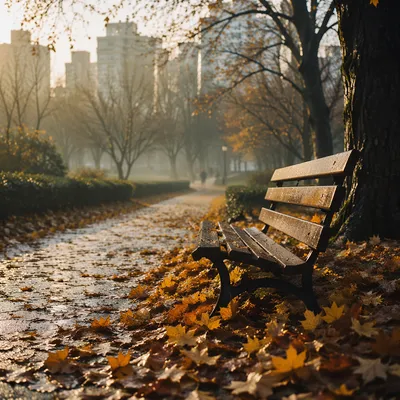 Quiet Autumn Park Bench at Dawn