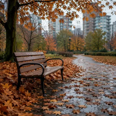 Quiet Autumn Park Bench After Rain