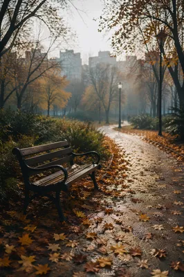 Quiet Autumn Park Bench at Dawn