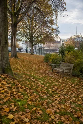 Quiet Autumn Park Bench in City