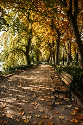 Autumn Park Bench Along City Path