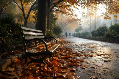 Autumn Park Bench in Morning Light