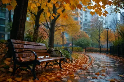 Quiet Autumn Park Bench After Rain