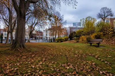 Quiet Autumn Park Bench in City