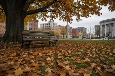 Quiet Autumn Park Bench in City