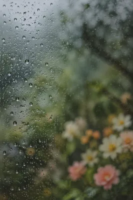 Rain Drops on Window with Blurred Garden