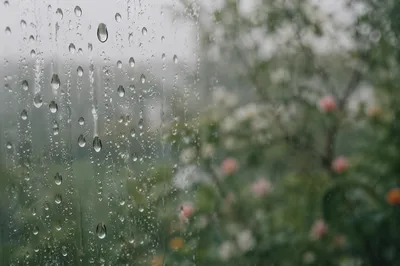Rain Drops on Window with Blurred Garden