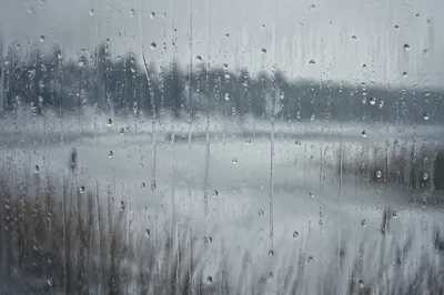 Rain Droplets on Winter Windowpane