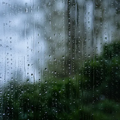 Rain Droplets on Blurred Forest Window